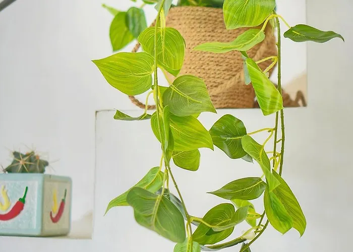 Daire Duplex Proche De Centre Et A 2min A Pied De La *